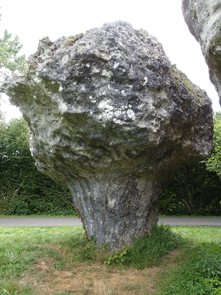 Le Champignon