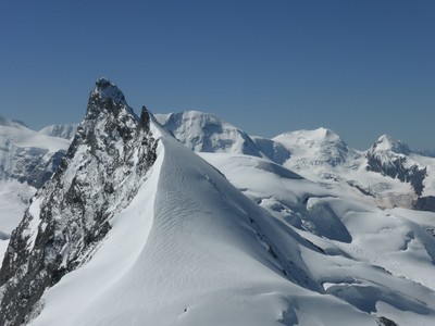 Vue du sommet (Rimpfischhorn, arête N).