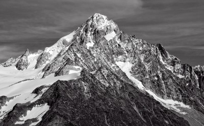 Chardonnet