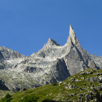 Majestueuse Dibona
