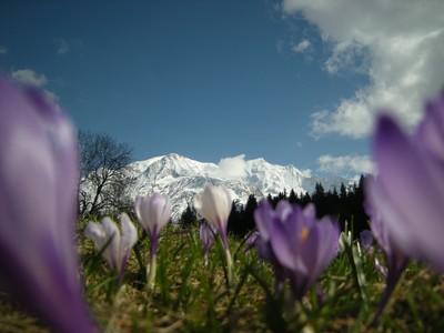 Le massif du Mt Blanc au printemps Le massif du Mt Blanc au printemps