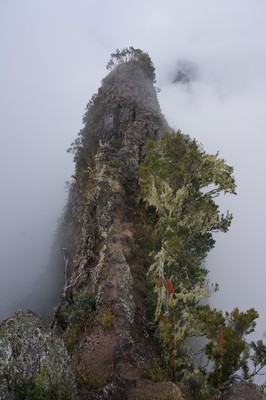 Crête des Trois Salazes. Crête des Trois Salazes.