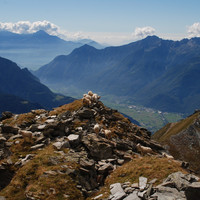 Pecore sulla resta SSW del Pizzo Somma Valle
