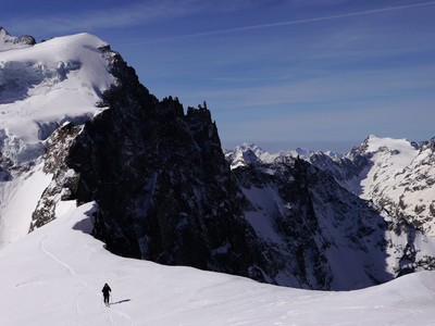 roche faurio roche faurio