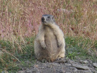Parée pour l'hiver ! Parée pour l'hiver !