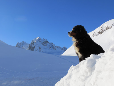Photo hommage à Lionel Blanc (Refuge du grand plan mars 2013) Photo hommage à Lionel Blanc (Refuge du grand plan mars 2013)