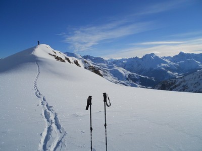 le calme des cimes.. le calme des cimes..