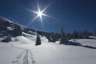 Le serre du play sous les premières neiges Le serre du play sous les premières neiges