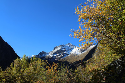Les contreforts de la Muzelle un jour d'automne Les contreforts de la Muzelle un jour d'automne