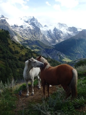 style calendrier des postes style calendrier des postes