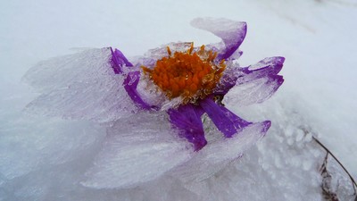 Coup de froid estival Coup de froid estival