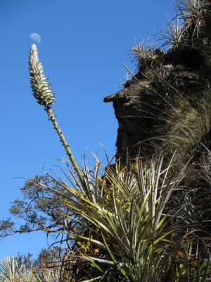RdV lunaire en Cordillère Huayhuash RdV lunaire en Cordillère Huayhuash