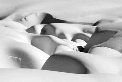 rondeurs ensoleillées rondeurs ensoleillées