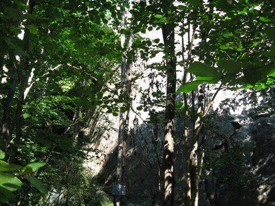 Un site caché dans la forêt