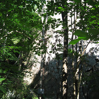 Un site caché dans la forêt