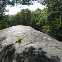Sommet des voies, accessible à pied