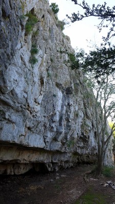 Falaise de la Roque Falaise de la Roque