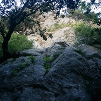 Départ de la voie