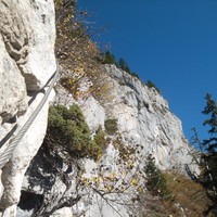le début