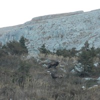 vue depuis la Combe