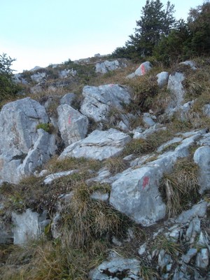 le sentier marquage le sentier marquage