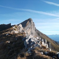 la Suite