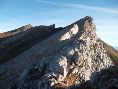 Les Arêtes Les Arêtes