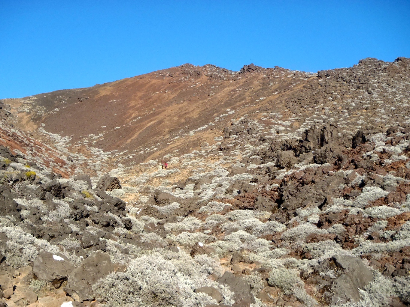 Piton des Neiges en boucle voie normale depuis Cilaos (le Bloc