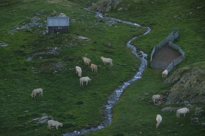 Cabane de la petite estibère