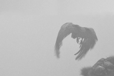 Un grand garçon timide Un grand garçon timide