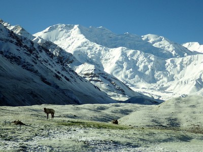 depuis le camp de base depuis le camp de base