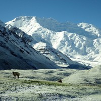 depuis le camp de base