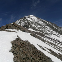 Sur l'épaule