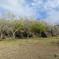 Vue globale du site