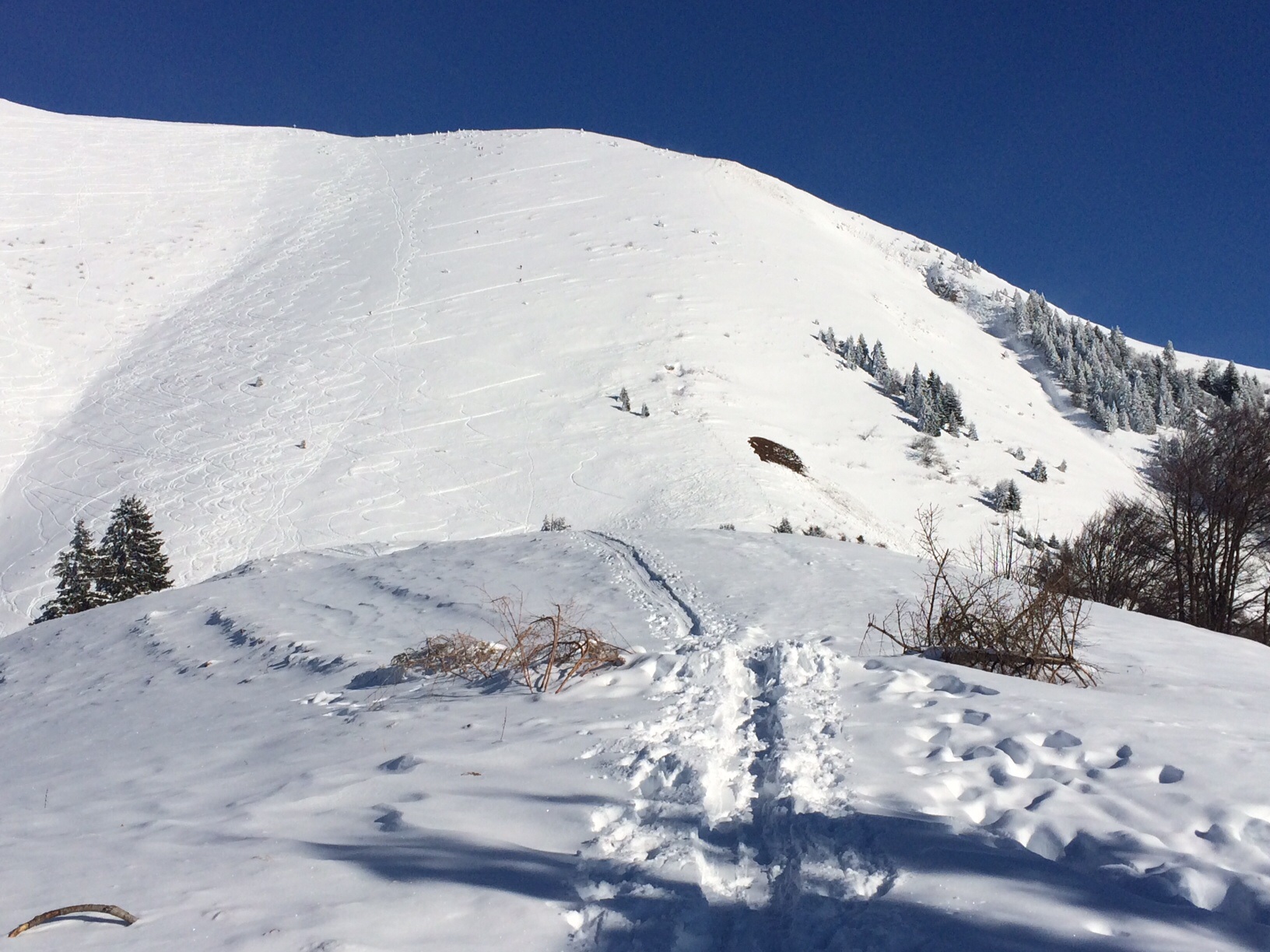 Le Mole Depuis Le Petit Mole Camptocamp le-mole-depuis-le-petit-mole-camptocamp