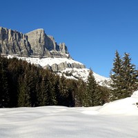 Fiz, un autre climat