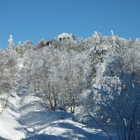 Temple romain au Donon