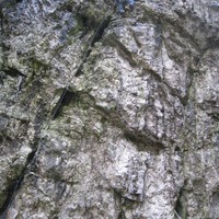 Abalakov, D6 [Dry-tooling]