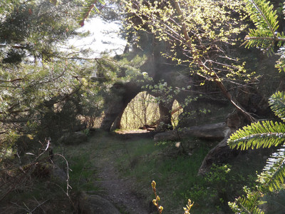 Le bas de la Roche des fées Le bas de la Roche des fées