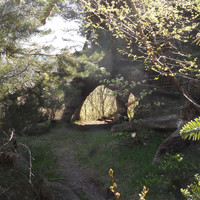 Le bas de la Roche des fées
