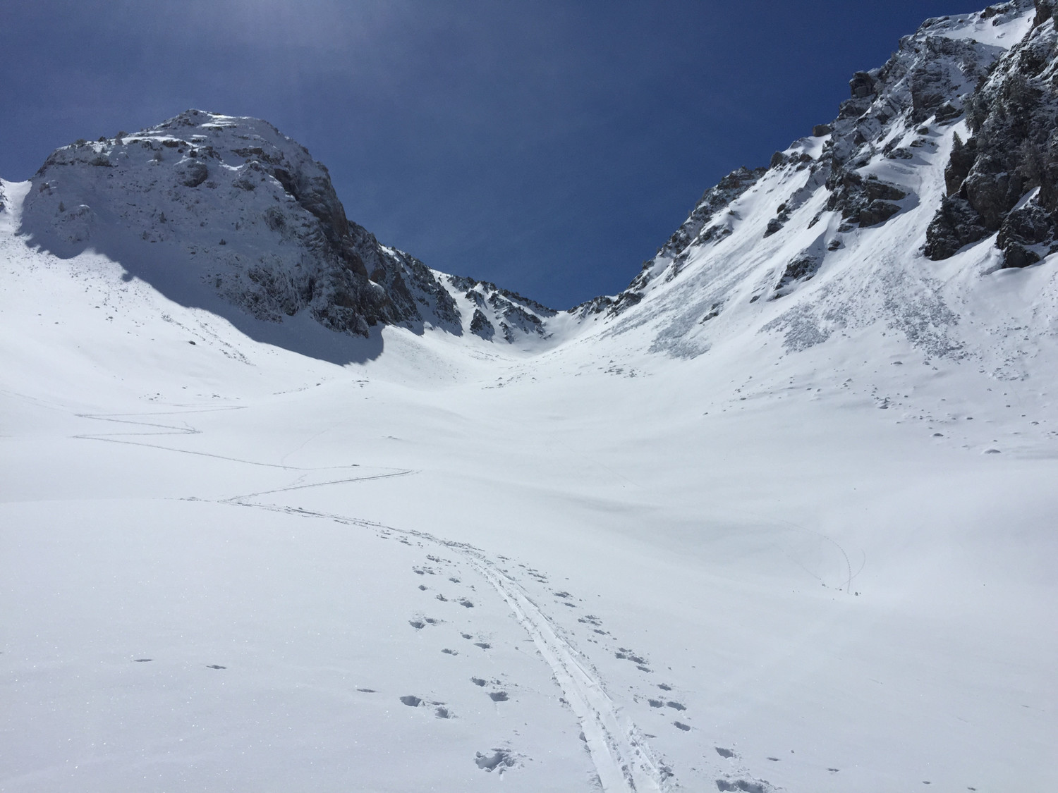 La bat de Caoubere