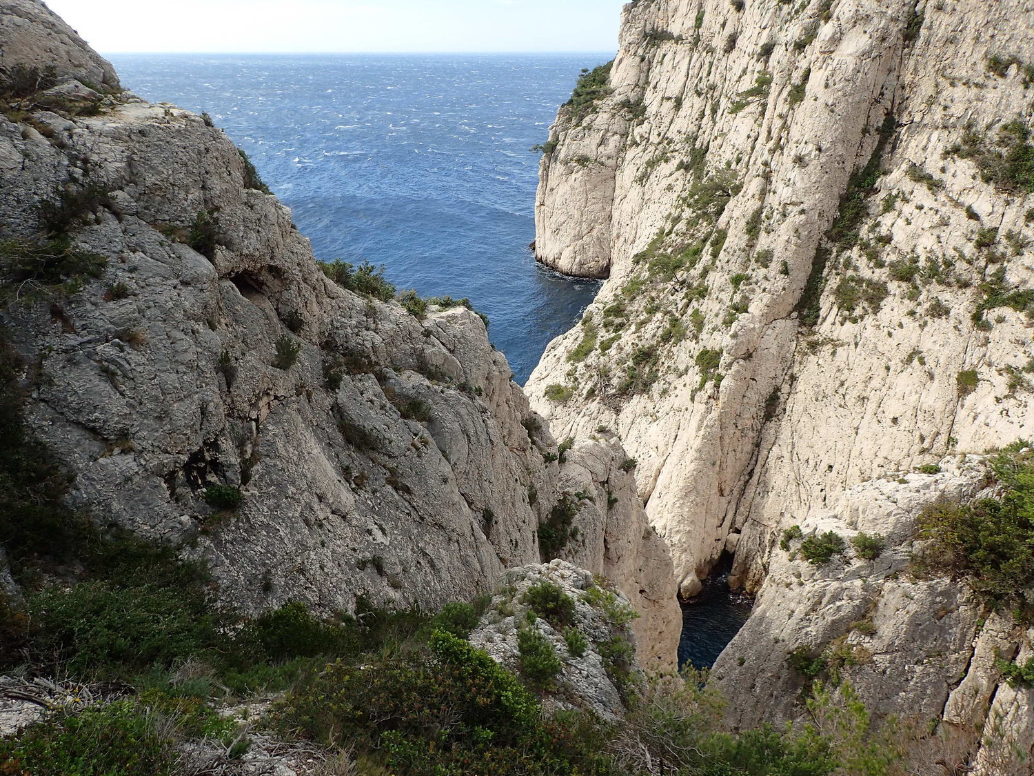 Arrivée au départ de la traversée des écureuils