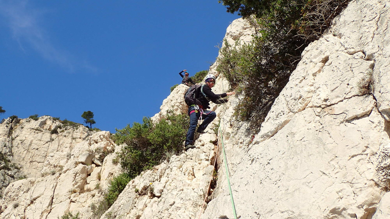 La traversée des écureuils