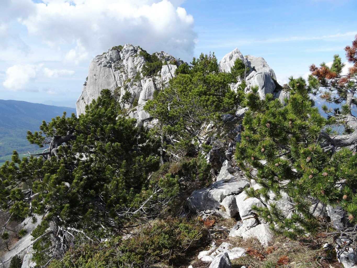 Arête