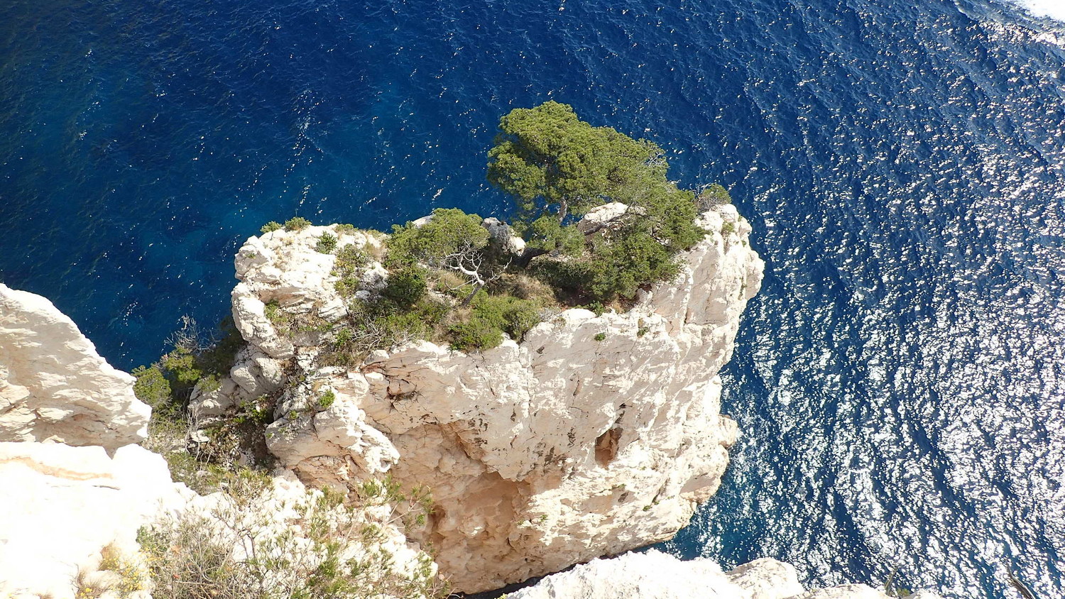 La vue