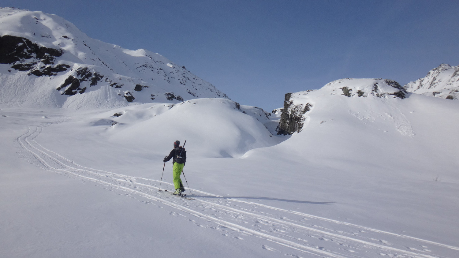 neve fresca