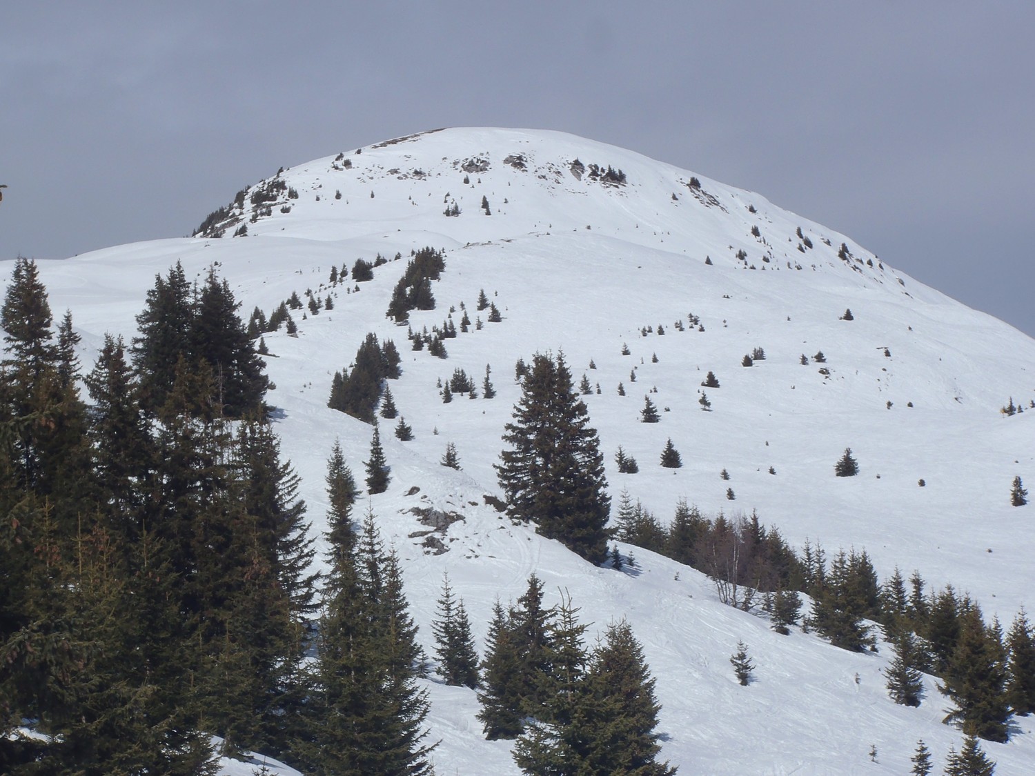 Mont de la Guerre, versant Sud