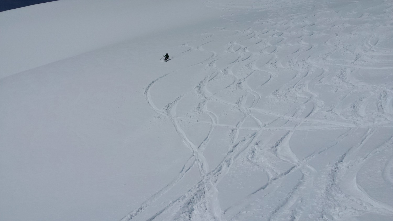 déjà quelques traces….