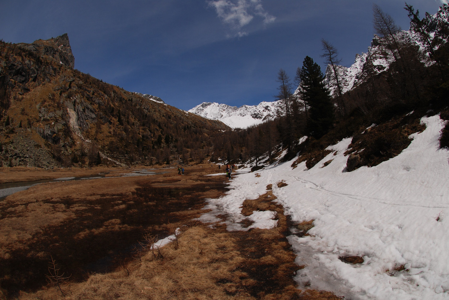 Piana di Predarossa con vista sul Monte Disgrazia 3678m