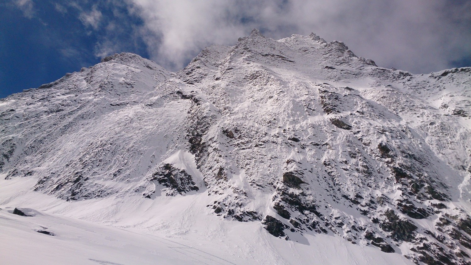 Face N - Hübschhorn